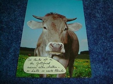 2691/ Postkarte-Kuh mit Spruch