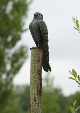 Bronzefigur Turmfalke H31cm Rottenecker Bronze Adler Falke Vogel Dekoration