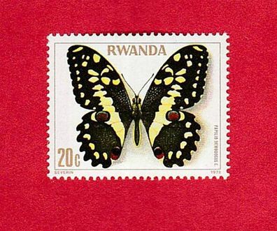 Motiv - Schmetterling-Ruanda - Papilio Demodocus -Zitusschwalbenschwanz xx