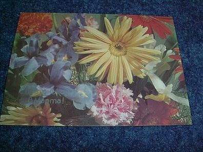 2808/ Postkarte-bunte Blumenwelt