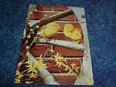 2823/ Postkarte-Recht frohe Ostern