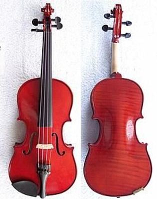 Junge Geige von Hoffman Gr. 3/4 leihweise je Monat
