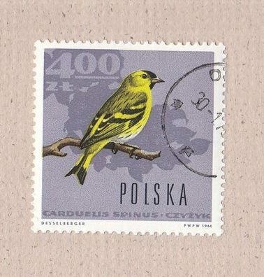 Polen- Motiv - Vogel (Zeisig - Carduelis spinus) o
