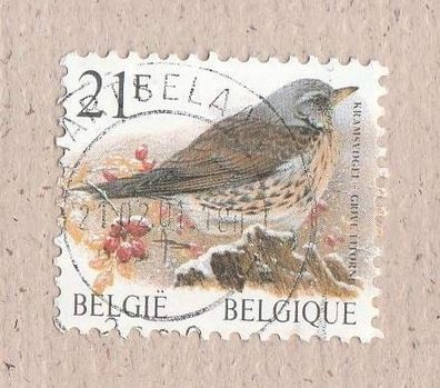Belgien - Motiv - Vogel (Kramsvogel - grive litorne) o