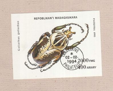 großer Motivblock - Käfer (Goliathus goliathus) o