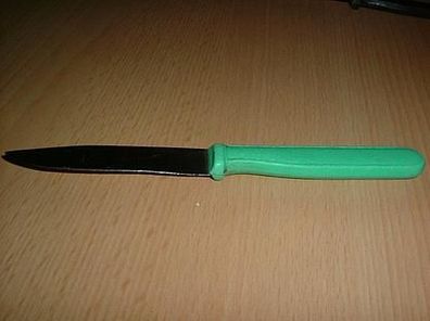 Küchenmesser / Gemüsemesser mit grünen Griff