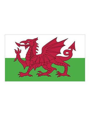 Printwear Fahne Wales Strapazierfähig FLAGDE (Gr. 90 x 150 cm)