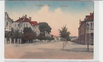 37095 Ak Torgau an der Elbe Nordring um 1910
