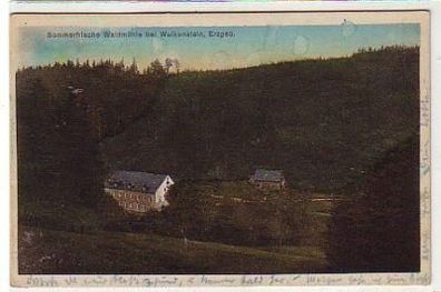 35977 Sommerfrische Waldmühle b. Wolkenstein Erzg. 1930