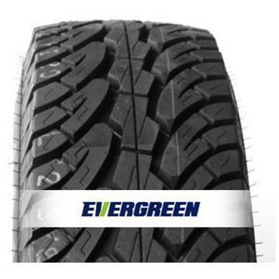 2 x 31x10.50-15 109R Evergreen ES89 Offroad Allwetterreifen M + S