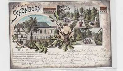 35549 Ak Lithographie Gruß aus Schönborn 1902