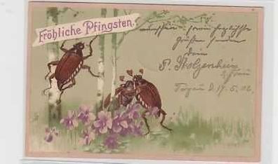 37982 Fröhliche Pfingsten Ak mit 3 Maikäfern 1902