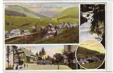 39649 Ak Sommerfrische Wildenthal im Erzgebirge 1910