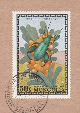 Käfer - Weevil - Rhaebus komarovi) -auf Briefstück
