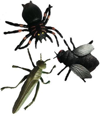 3 ekelige realistisch glibbrige Tiere Spinne Heuschrecke Fliege Scherzartikel