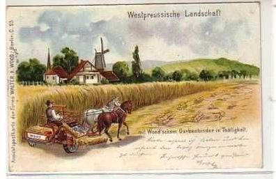 40127 Ak Lithographie Wetspreussische Landschaft 1901