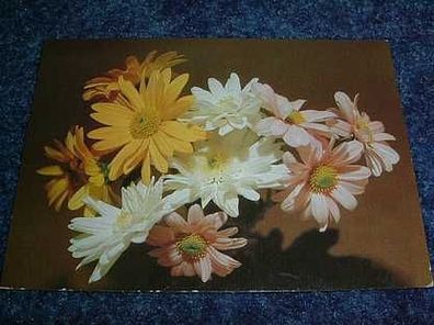 2562-Postkarte-Blumen-DDR