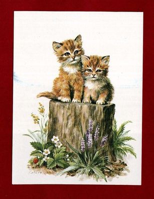 Postkarte- Zwei junge Kätzchen auf Baumstumpf