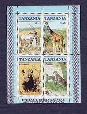 Motiv - KB Tiere Afrikas - u.a Nashorn, Giraffe Gepard xx