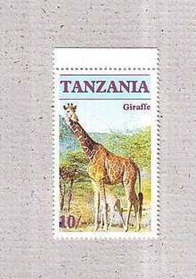 Motiv-Tansania - Tiere großformatige Giraffe xx Oberrand