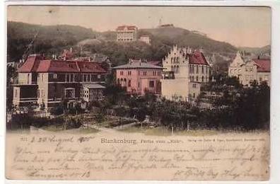 41532 Ak Blankenburg Partie vom "Roh" 1900