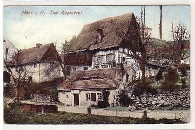 41981 Ak Löbau in Sachsen der Ziegenkopf 1905