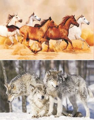 TischSet 3D Pferde Wölfe Platzset 2erSet Platzdeckchen Poster Bilder Tier Pony Wolf