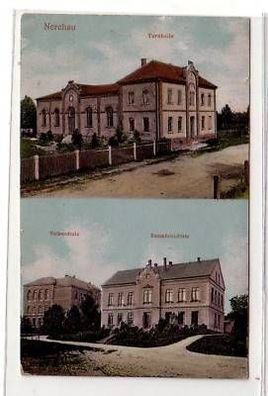 41161 Präge Ak Nerchau Turnhalle und Schule 1909
