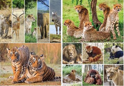 3 D Ansichtskarte Wildtiere Raubkatzen Tier Postkarte Wackelkarte Hologrammkarte
