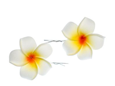 Frangipani 2er Set Blumen Haarspangen Plumeria Miniblings Lilie Surfer Hawaii