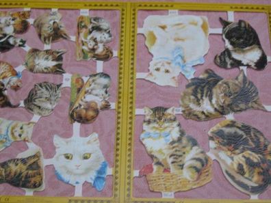 Glanzbilder Klein-+ Großbogen Mamelok England MLP: A 111+ A 112 viele Katzen