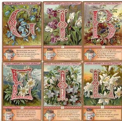 Liebig Serie kpl. 6 Sammelbilder "Blumen Poesie" U