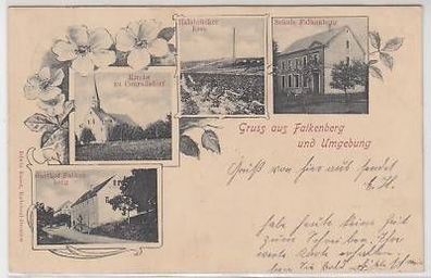 42546 Ak Gruß aus Falkenberg und Umgebung 1902