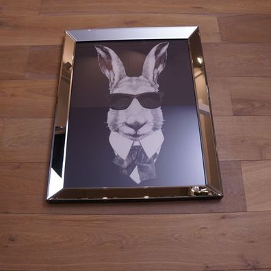 Lustig Hase Wandbild Spiegelrahmen mit Sonnenbrille Art Deco in Rahmen Mode Karekatur
