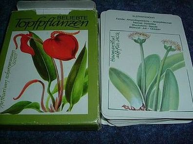 Kartenspiel-Beliebte Topfpflanzen