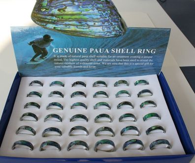 36 Paua Muschel Ringe mit Box Ring Präsentationsbox