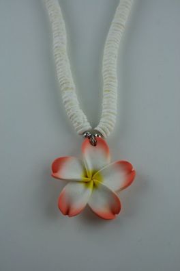 Hawaii Flower Anhänger mit Muschel Kette  verschiedene Farben