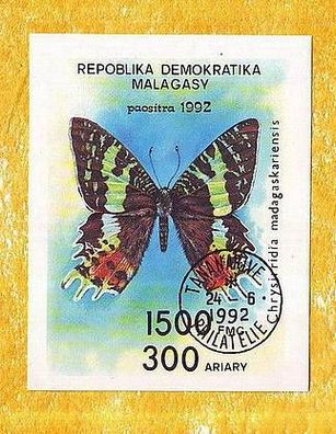 Motivblock - Schmetterling (Chrysirridia madagaskariens