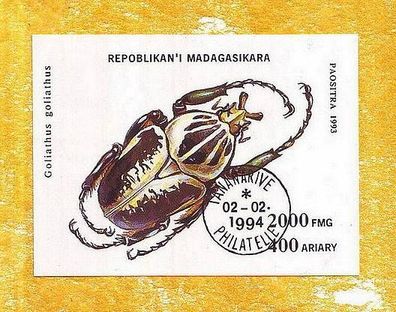 Motivblock - Madagaska Käfer (Goliathus goliathus) o