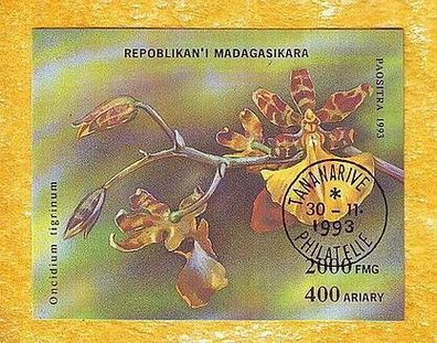 Motivblock-Blumen- Madagaska- Orchidee (Oncidium tigrinum) o