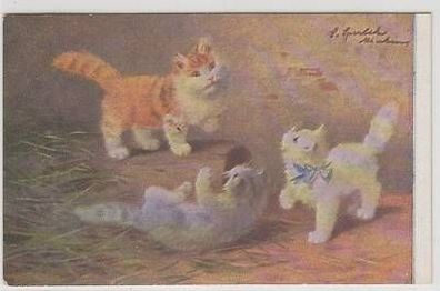 28388 Ak 3 kleine spielende Katzen 1920