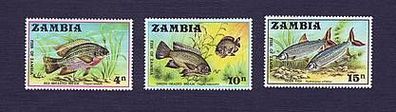 Motiv - große, exotische Fische - Zambia 74-76 postfrisch xx