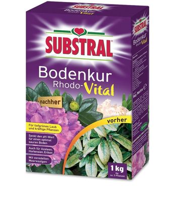 Substral® Bodenkur Rhodo-Vital, 1 kg