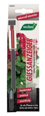 Westland® Gießanzeiger für Blumenerde, 16 cm anthrazit