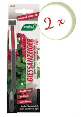 2 x Westland® Gießanzeiger für Blumenerde, 16 cm anthrazit