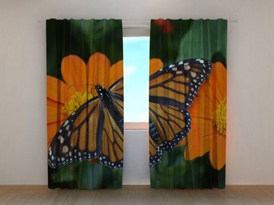 Fotogardine Schmetterling Vorhang bedruckt, Fotodruck, Fotovorhang mit Foto, nach Maß