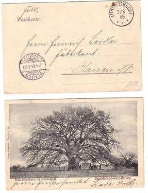45402 Ak Deutsch Süd West Afrika Lüderitzbucht 1905