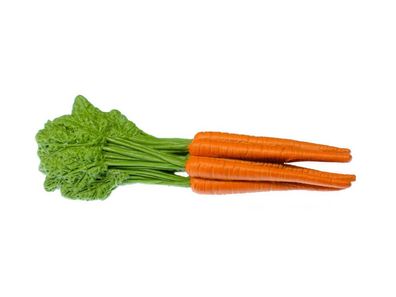 Karotte Karotten Brosche Miniblings Anstecknadel Gemüse Rübe Möhre Gummi