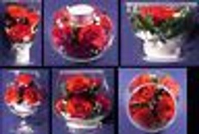 ewige echte Rose OrchideeTrockenblumen staubdicht, für Valentin Muttertag etc