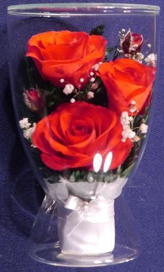 ewige echte Rose Trockenblumen staubdicht, CULR gut für Valentin Muttertag etc